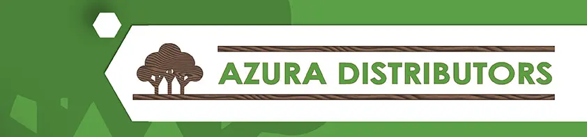 Azura-Logo-no-details-High-res.jpg